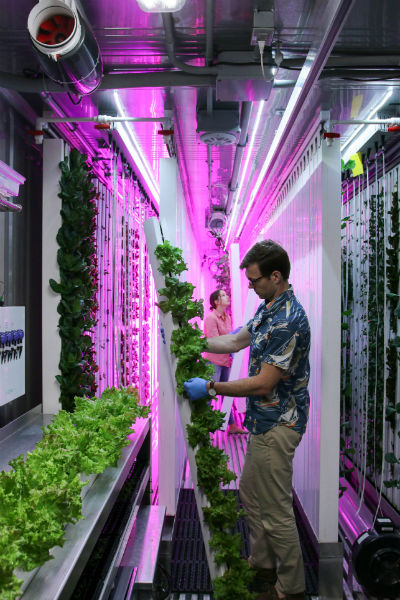 indoor farm benefits 